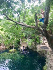 Jump off a tree at Cenote Jardin del Eden